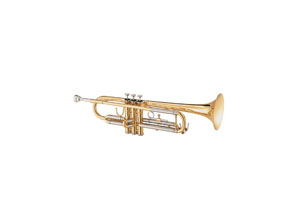 Trumpet / cornet